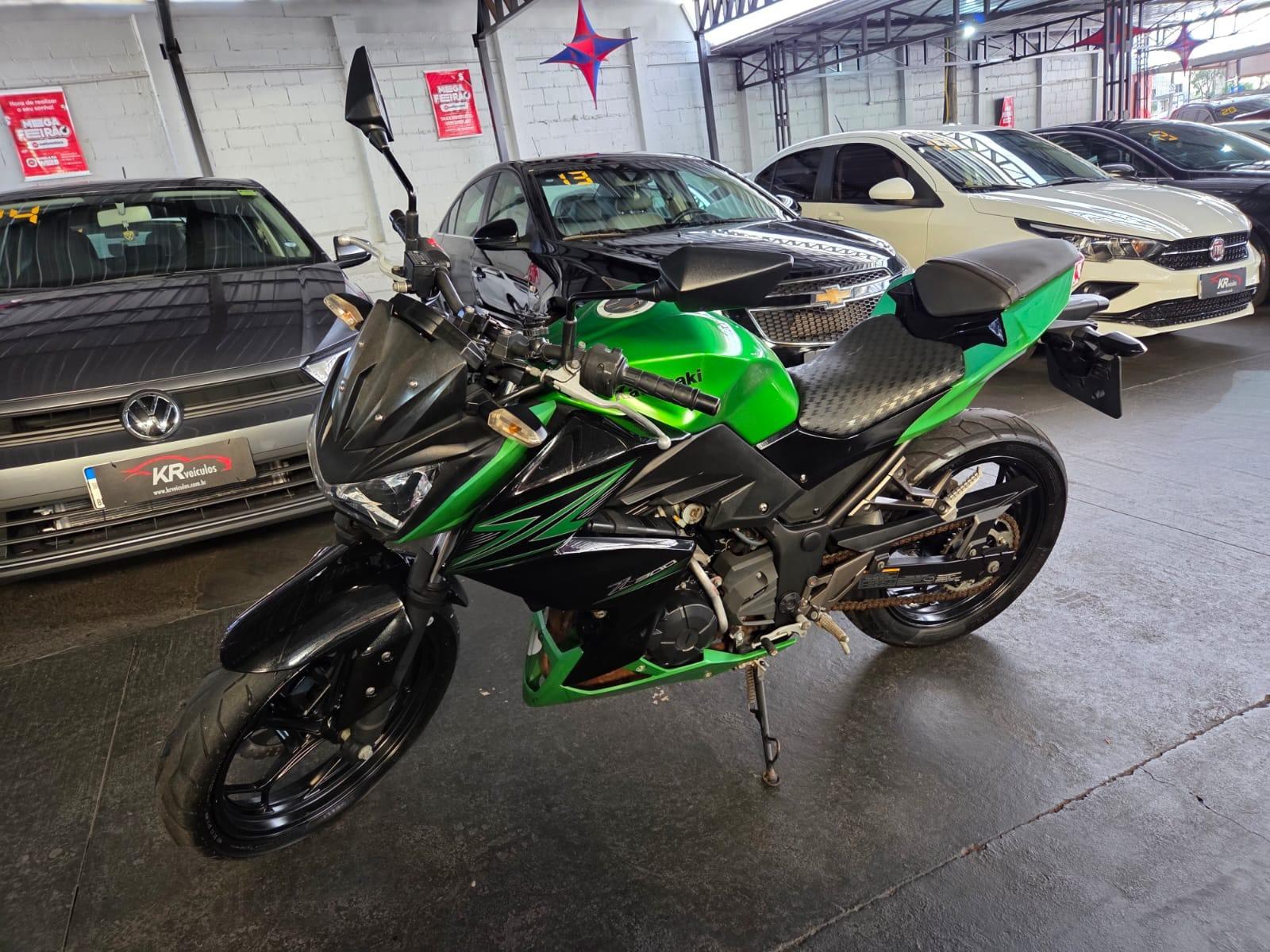 Z 300 Z-300 2016